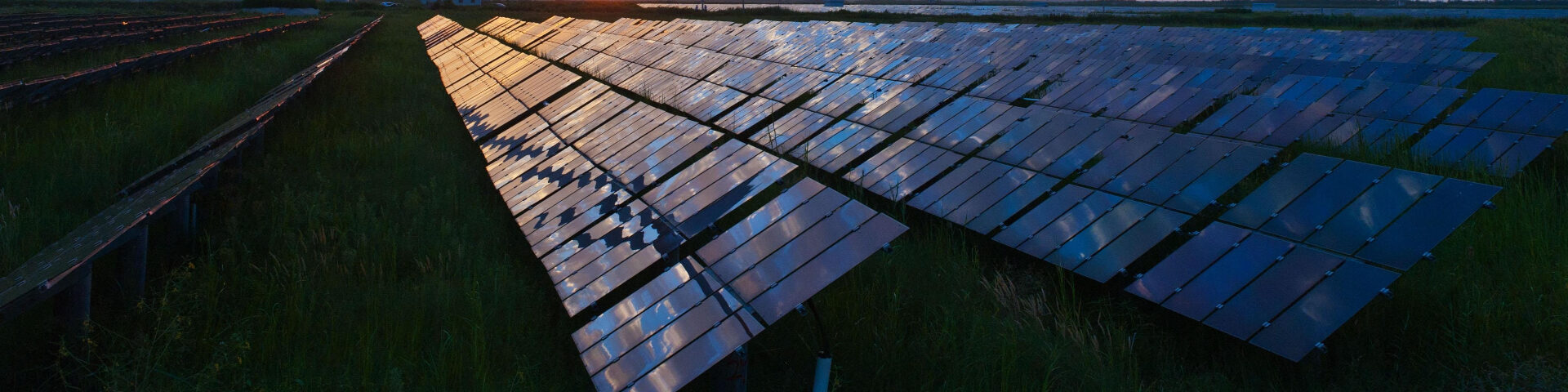 Champ de panneaux solaires installés pour la production d’énergie renouvelable.